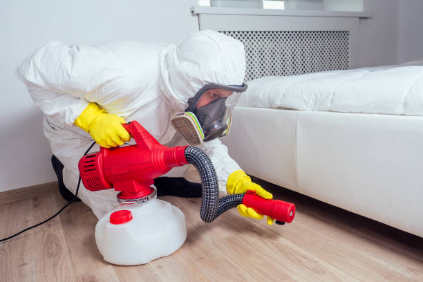 Reliable Bear Creek Ranch, TX Pest Control Solutions