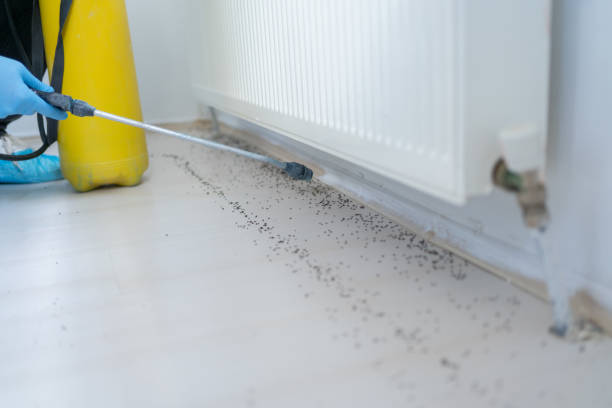 Best Best Pest Control Companies  in Bear Creek Ranch, TX