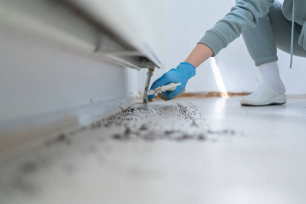 Best Best Pest Control Companies  in Bear Creek Ranch, TX